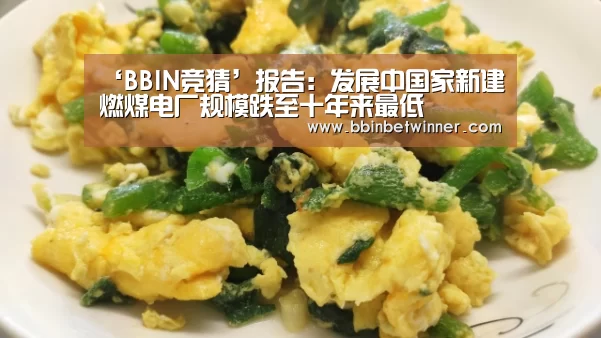 ‘BBIN竞猜’报告:发展中国家新建燃煤电厂规模跌至十年来最低(图3) BBIN官网