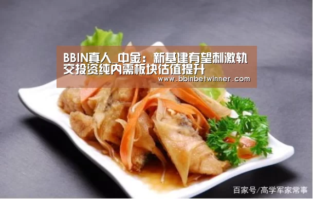 BBIN真人_中金:新基建有望刺激轨交投资纯内需板块估值提升(图2) BBIN真人