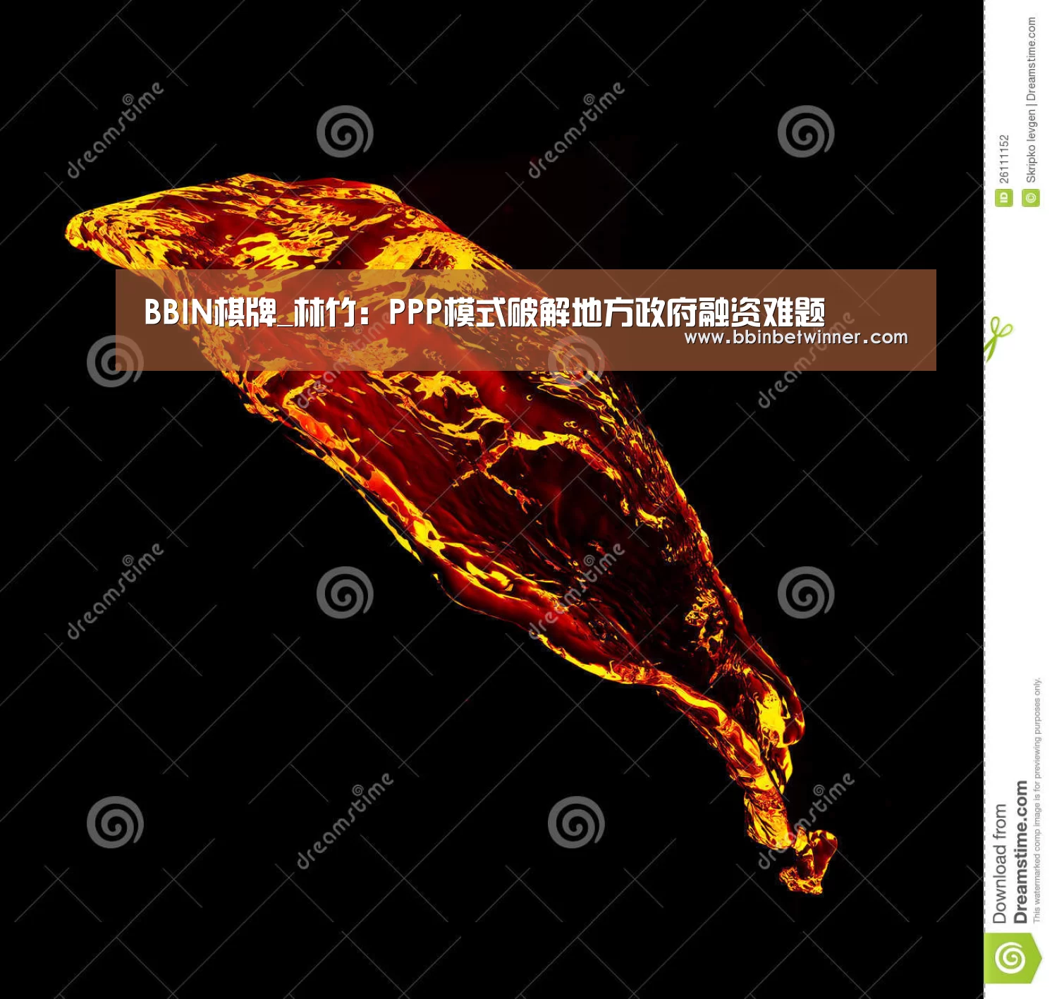 BBIN棋牌_林竹:PPP模式破解地方政府融资难题(图1) BBIN真人
